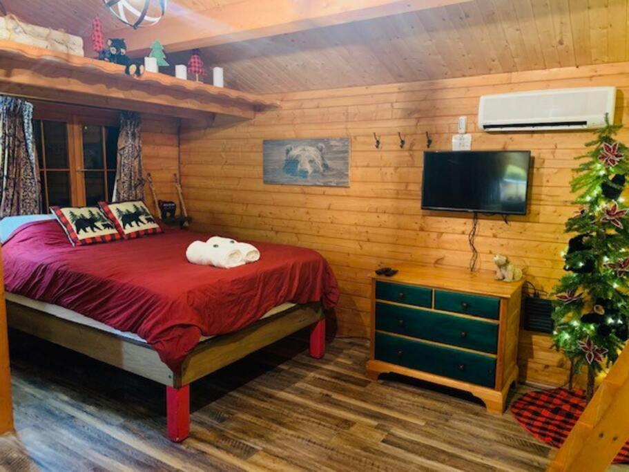 Honeybear Hideaway Cabin Hayward Luaran gambar