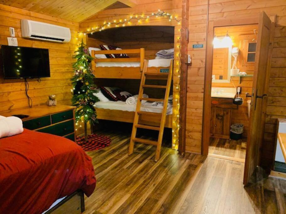 Honeybear Hideaway Cabin Hayward Luaran gambar