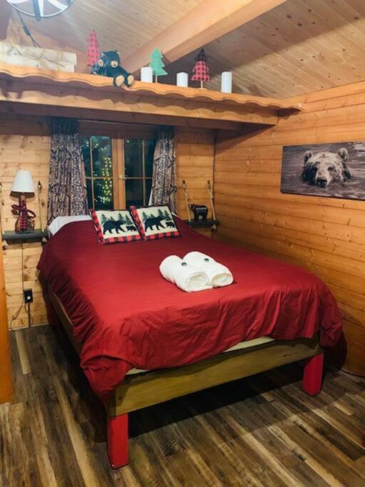 Honeybear Hideaway Cabin Hayward Luaran gambar