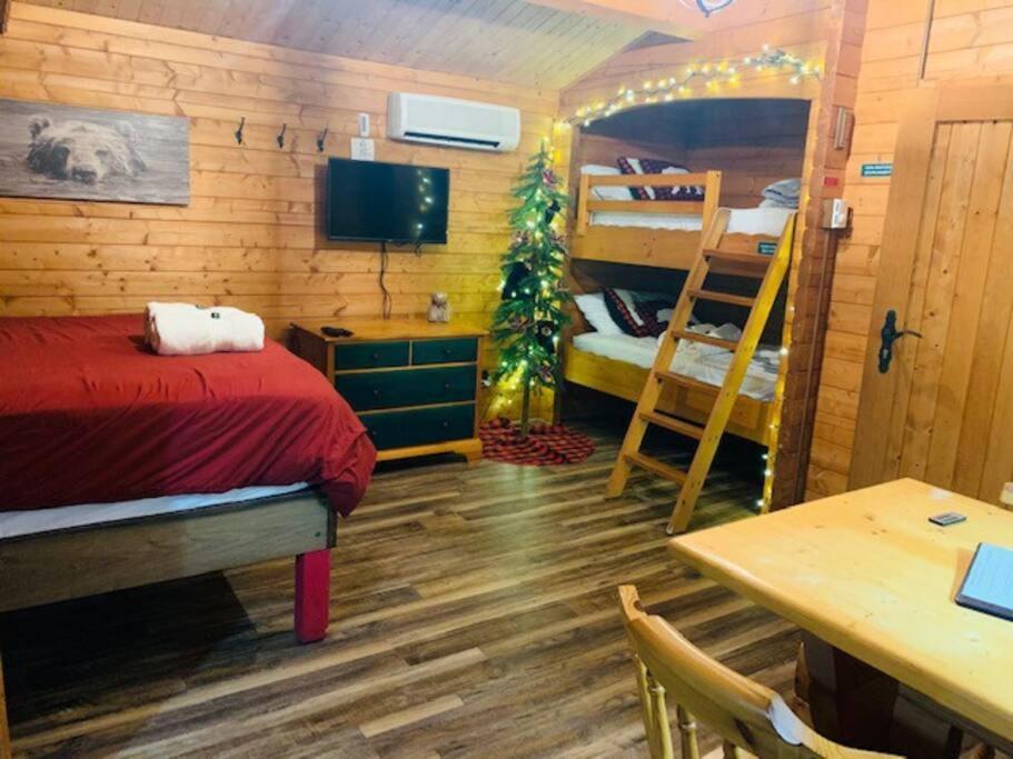 Honeybear Hideaway Cabin Hayward Luaran gambar