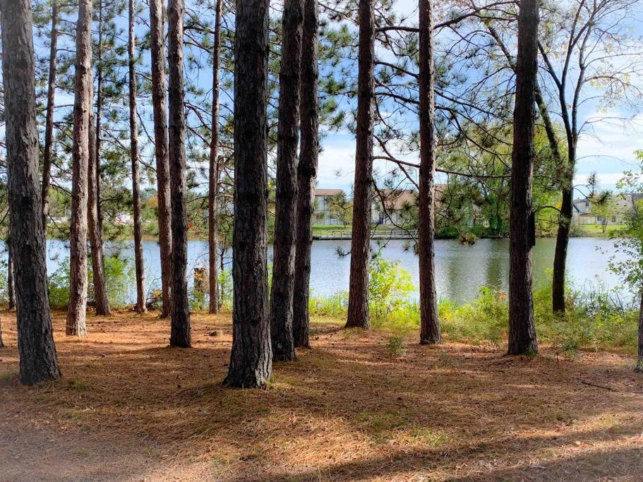Honeybear Hideaway Cabin Hayward Luaran gambar