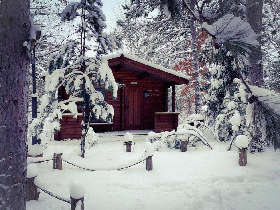 Honeybear Hideaway Cabin Hayward Luaran gambar