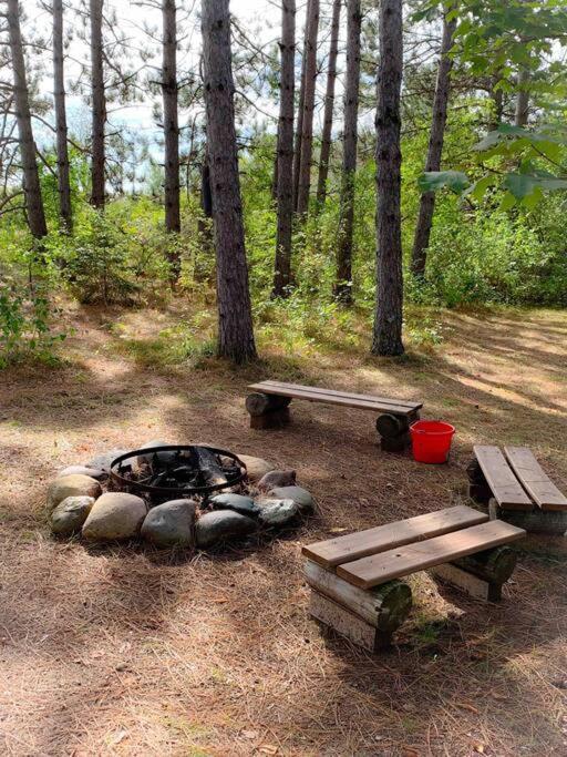 Honeybear Hideaway Cabin Hayward Luaran gambar