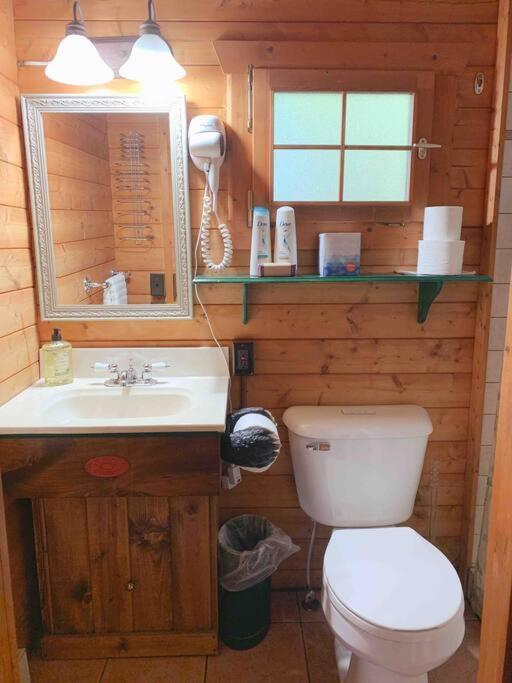 Honeybear Hideaway Cabin Hayward Luaran gambar