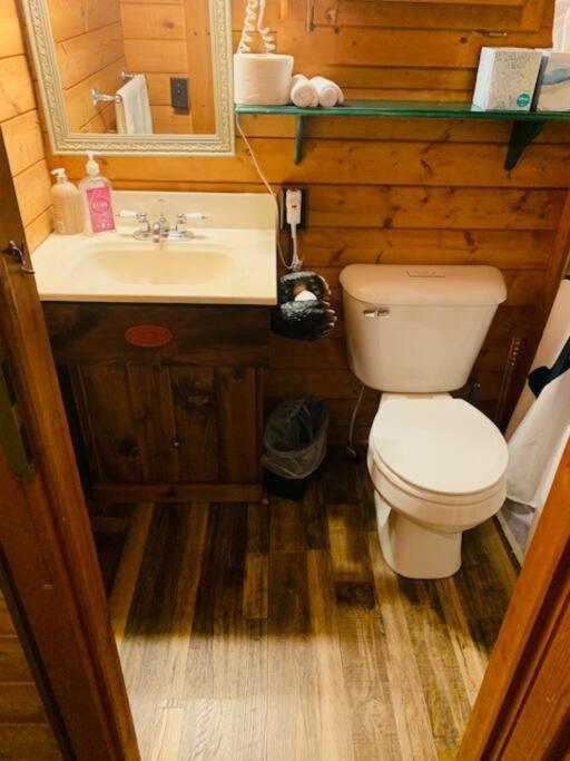 Honeybear Hideaway Cabin Hayward Luaran gambar